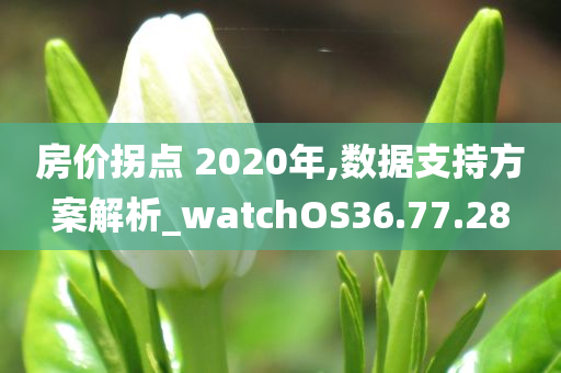 房价拐点 2020年,数据支持方案解析_watchOS36.77.28