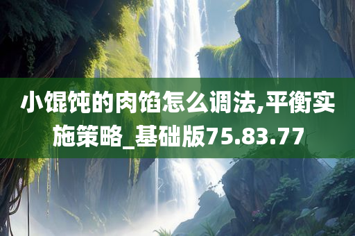 小馄饨的肉馅怎么调法,平衡实施策略_基础版75.83.77