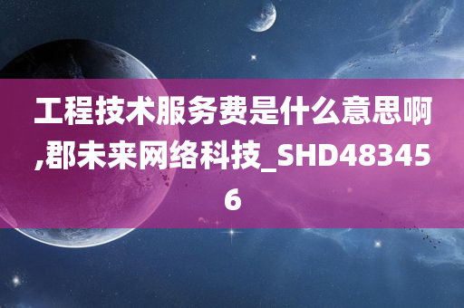 工程技术服务费是什么意思啊,郡未来网络科技_SHD483456