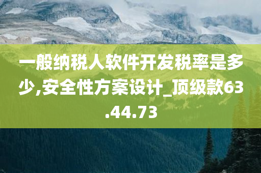 一般纳税人软件开发税率是多少,安全性方案设计_顶级款63.44.73