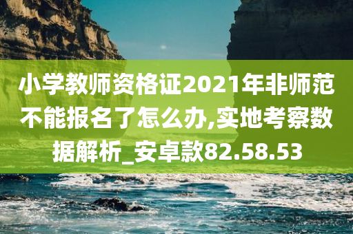 小学教师资格证2021年非师范不能报名了怎么办,实地考察数据解析_安卓款82.58.53