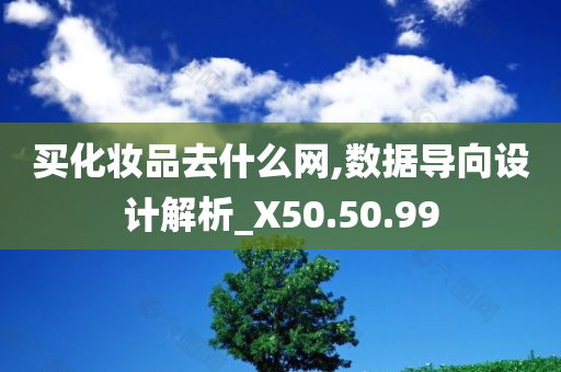 买化妆品去什么网,数据导向设计解析_X50.50.99