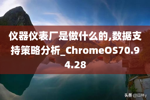 仪器仪表厂是做什么的,数据支持策略分析_ChromeOS70.94.28