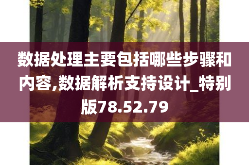 数据处理主要包括哪些步骤和内容,数据解析支持设计_特别版78.52.79