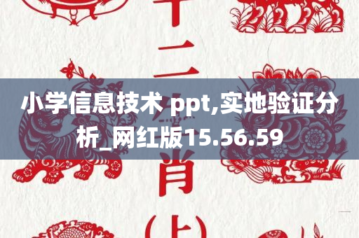 小学信息技术 ppt,实地验证分析_网红版15.56.59