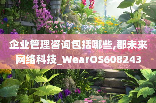 企业管理咨询包括哪些,郡未来网络科技_WearOS608243