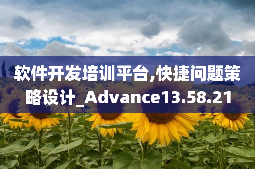 软件开发培训平台,快捷问题策略设计_Advance13.58.21