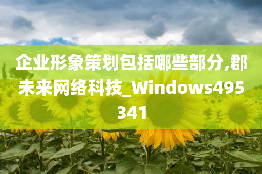 企业形象策划包括哪些部分,郡未来网络科技_Windows495341