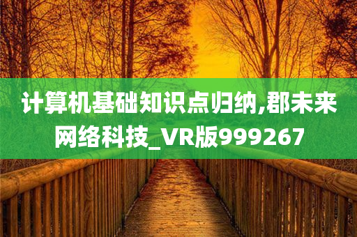 计算机基础知识点归纳,郡未来网络科技_VR版999267