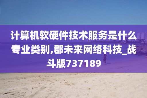 计算机软硬件技术服务是什么专业类别,郡未来网络科技_战斗版737189