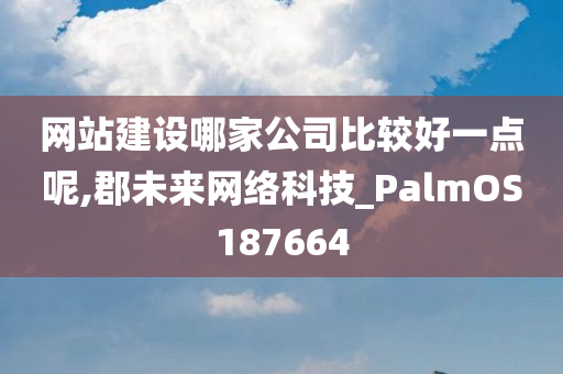 网站建设哪家公司比较好一点呢,郡未来网络科技_PalmOS187664