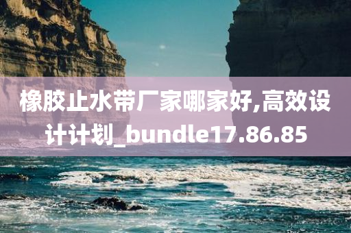 橡胶止水带厂家哪家好,高效设计计划_bundle17.86.85