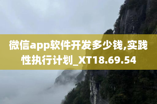 微信app软件开发多少钱,实践性执行计划_XT18.69.54