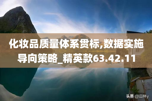 化妆品质量体系贯标,数据实施导向策略_精英款63.42.11