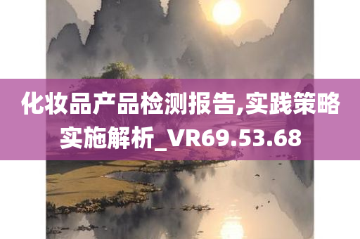 化妆品产品检测报告,实践策略实施解析_VR69.53.68