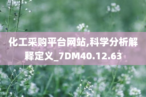 化工采购平台网站,科学分析解释定义_7DM40.12.63