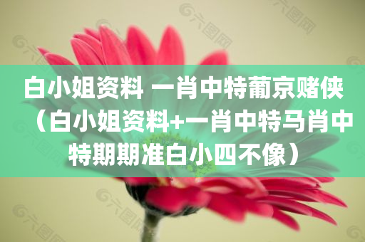 白小姐资料 一肖中特葡京赌侠（白小姐资料+一肖中特马肖中特期期准白小四不像）