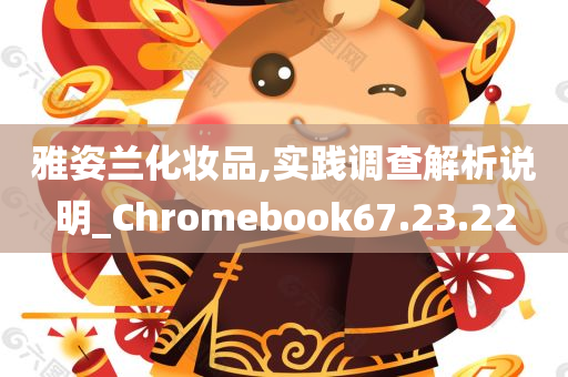 雅姿兰化妆品,实践调查解析说明_Chromebook67.23.22