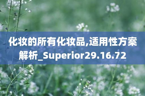 化妆的所有化妆品,适用性方案解析_Superior29.16.72