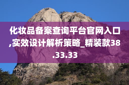 化妆品备案查询平台官网入口,实效设计解析策略_精装款38.33.33