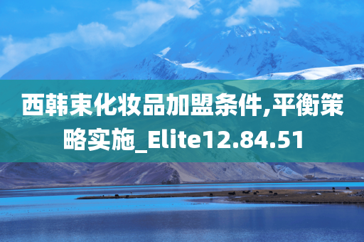 西韩束化妆品加盟条件,平衡策略实施_Elite12.84.51