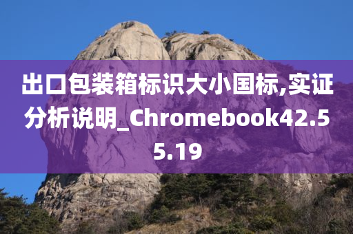 出口包装箱标识大小国标,实证分析说明_Chromebook42.55.19