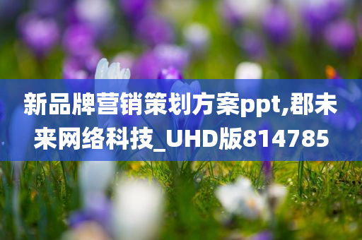 新品牌营销策划方案ppt,郡未来网络科技_UHD版814785