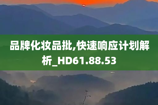 品牌化妆品批,快速响应计划解析_HD61.88.53