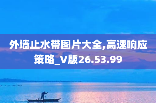 外墙止水带图片大全,高速响应策略_V版26.53.99