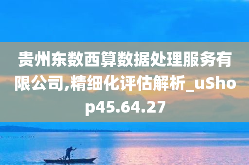 贵州东数西算数据处理服务有限公司,精细化评估解析_uShop45.64.27