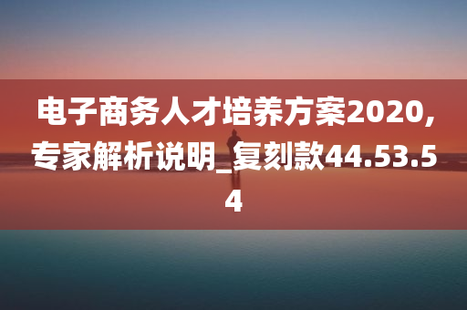 电子商务人才培养方案2020,专家解析说明_复刻款44.53.54