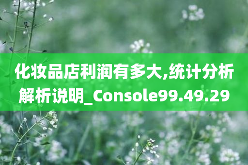 化妆品店利润有多大,统计分析解析说明_Console99.49.29