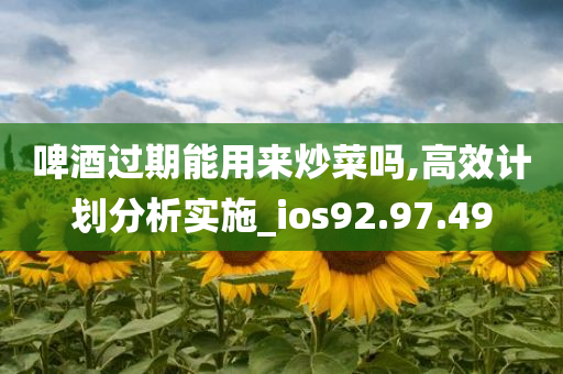 啤酒过期能用来炒菜吗,高效计划分析实施_ios92.97.49