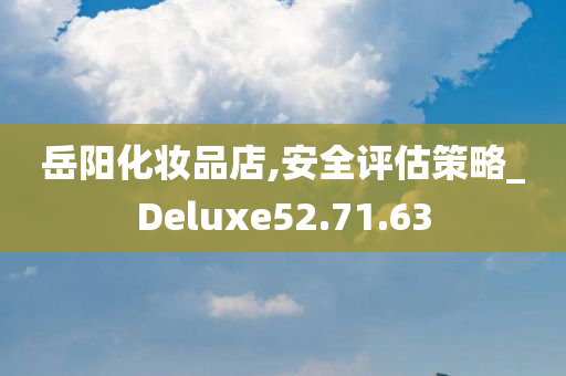 岳阳化妆品店,安全评估策略_Deluxe52.71.63