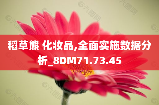 稻草熊 化妆品,全面实施数据分析_8DM71.73.45