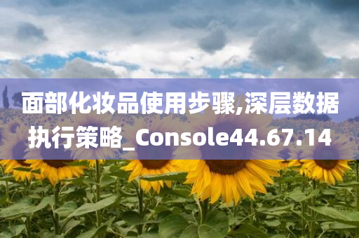 面部化妆品使用步骤,深层数据执行策略_Console44.67.14