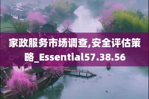 家政服务市场调查,安全评估策略_Essential57.38.56