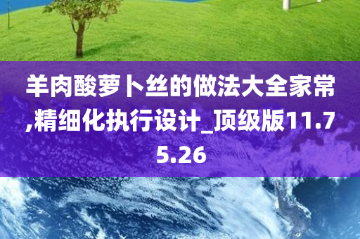 羊肉酸萝卜丝的做法大全家常,精细化执行设计_顶级版11.75.26