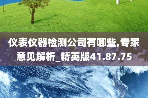 仪表仪器检测公司有哪些,专家意见解析_精英版41.87.75