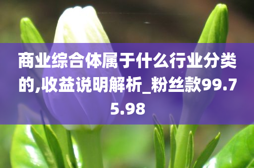 商业综合体属于什么行业分类的,收益说明解析_粉丝款99.75.98