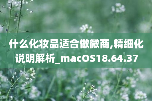 什么化妆品适合做微商,精细化说明解析_macOS18.64.37