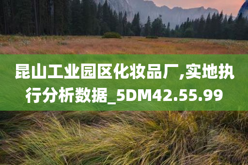 昆山工业园区化妆品厂,实地执行分析数据_5DM42.55.99