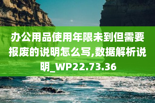 办公用品使用年限未到但需要报废的说明怎么写,数据解析说明_WP22.73.36