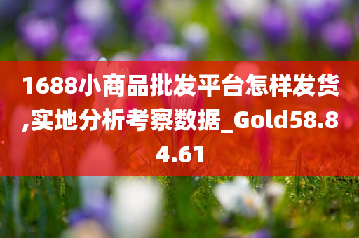 1688小商品批发平台怎样发货,实地分析考察数据_Gold58.84.61