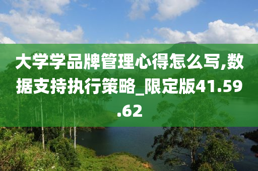 大学学品牌管理心得怎么写,数据支持执行策略_限定版41.59.62