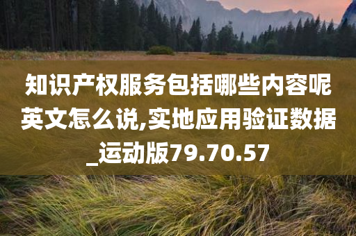 知识产权服务包括哪些内容呢英文怎么说,实地应用验证数据_运动版79.70.57