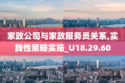 家政公司与家政服务员关系,实践性策略实施_U18.29.60