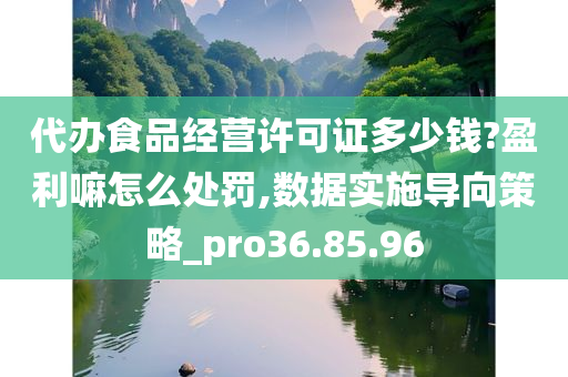 代办食品经营许可证多少钱?盈利嘛怎么处罚,数据实施导向策略_pro36.85.96