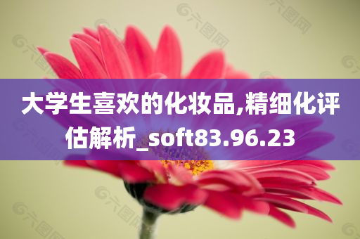 大学生喜欢的化妆品,精细化评估解析_soft83.96.23