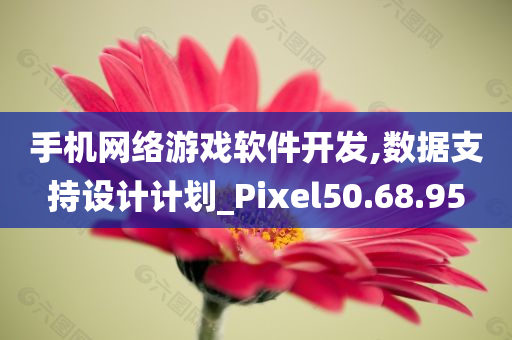 手机网络游戏软件开发,数据支持设计计划_Pixel50.68.95